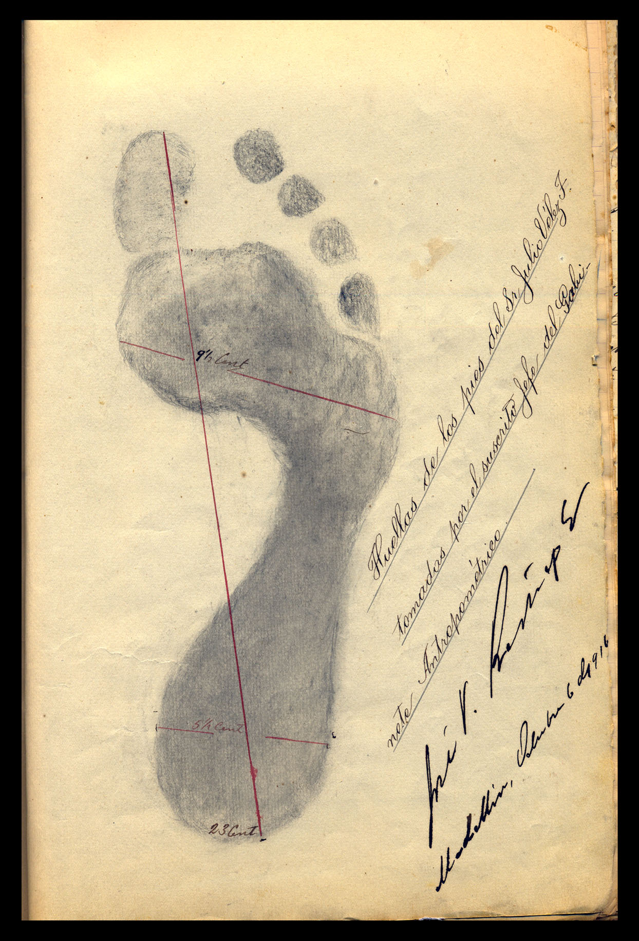 fig13.jpg