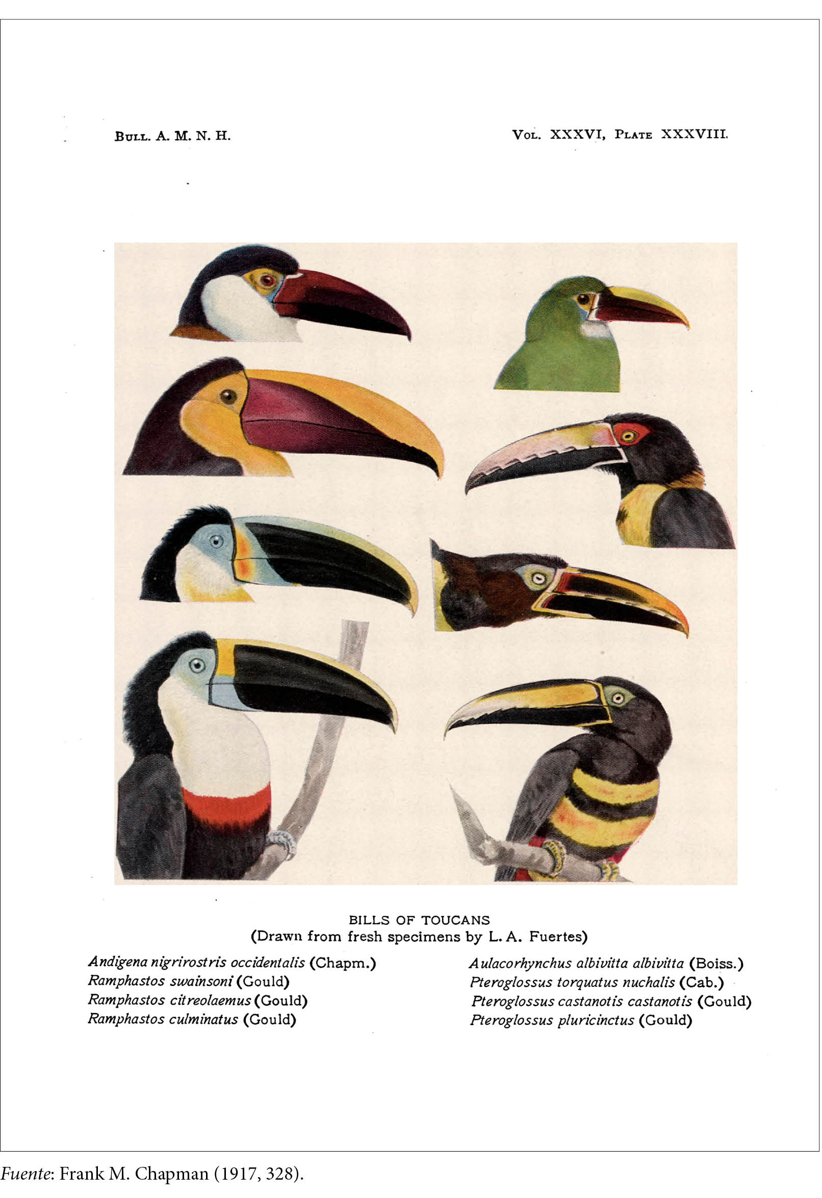 09_Antipoda_n42_doc1_fig7.jpg