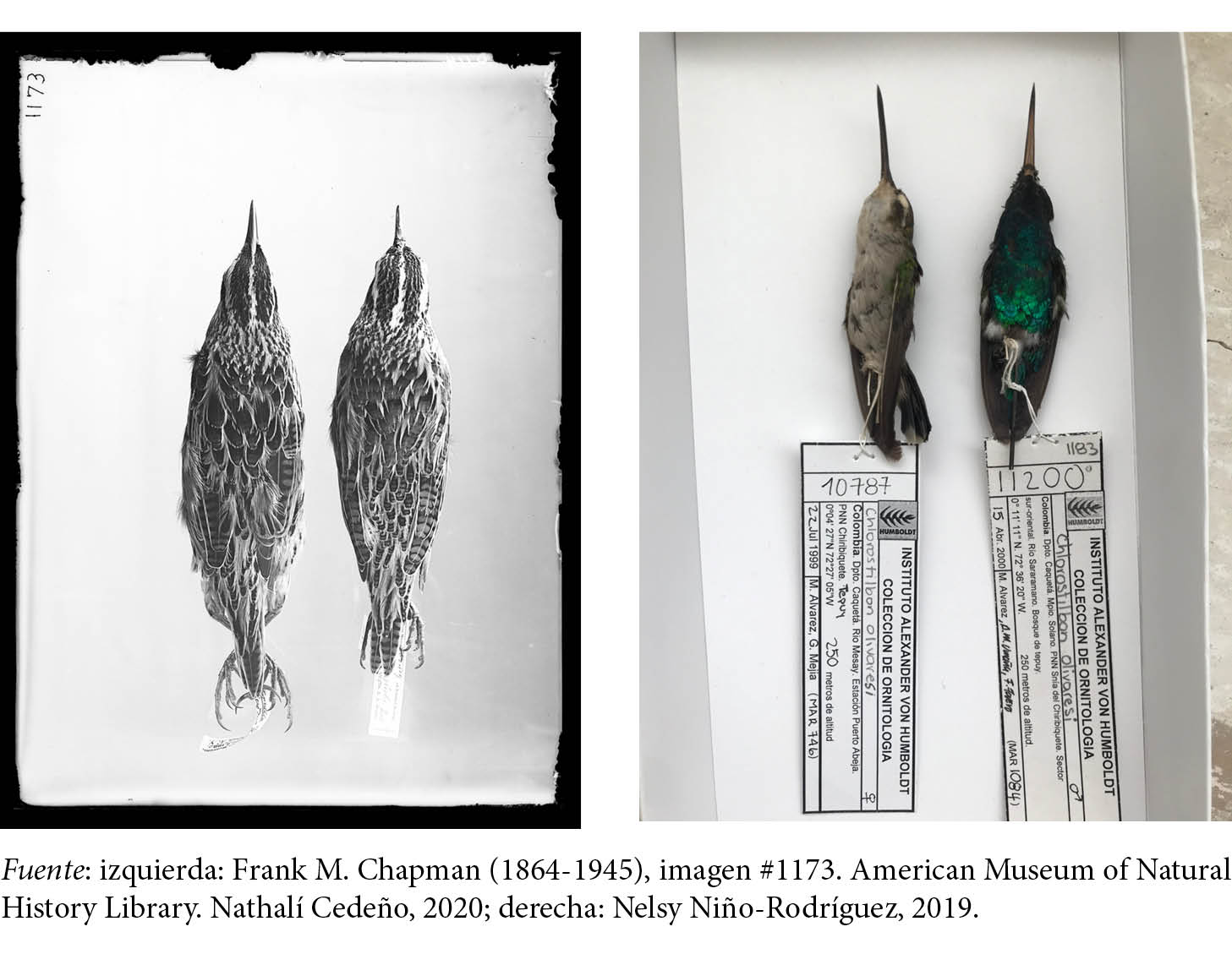 09_Antipoda_n42_doc1_fig8.jpg