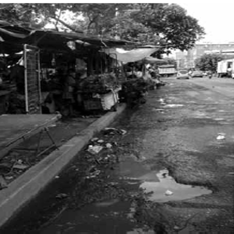 dearq17.2015.05_9_1.jpg