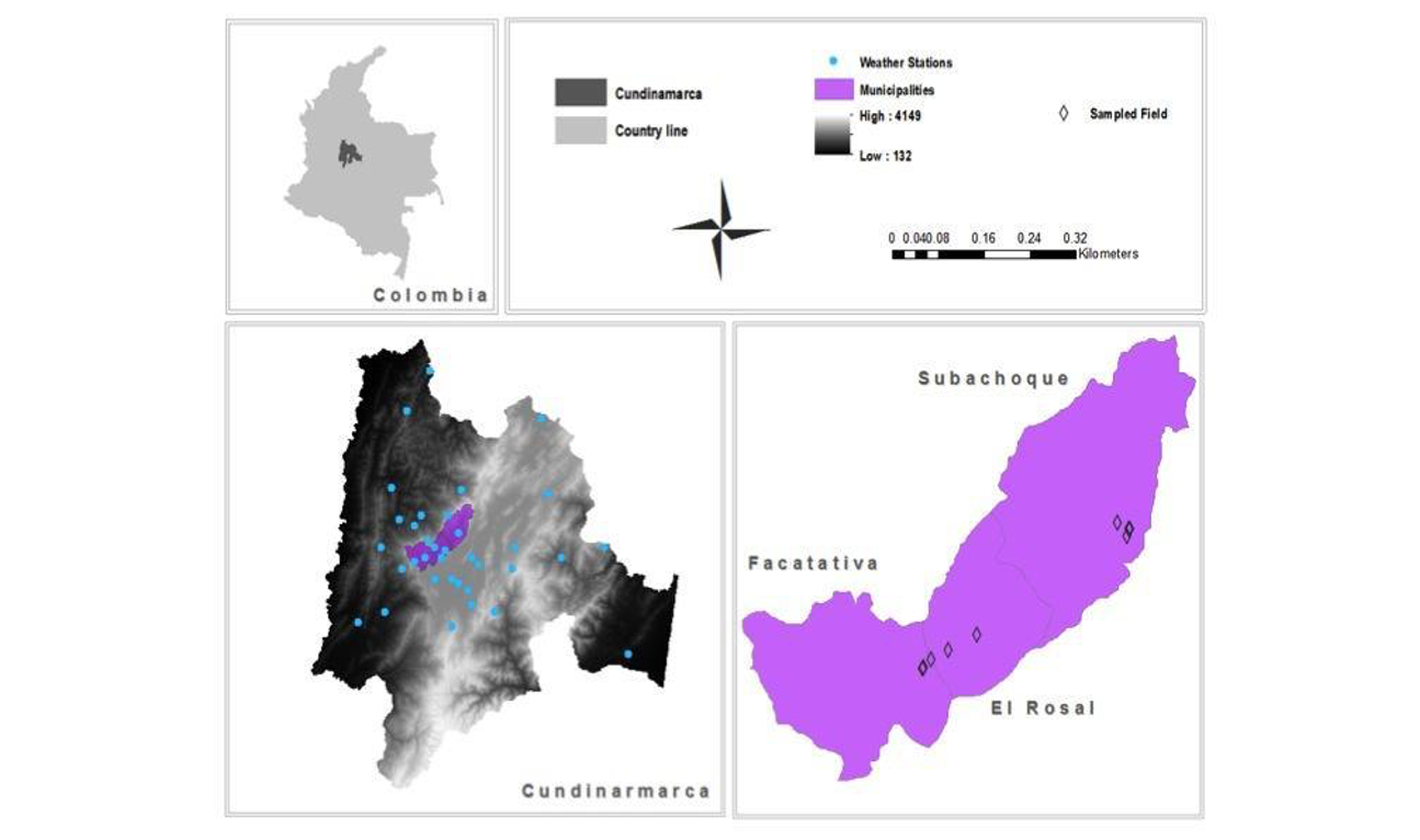 05_nys1.01.supp-fig1.png