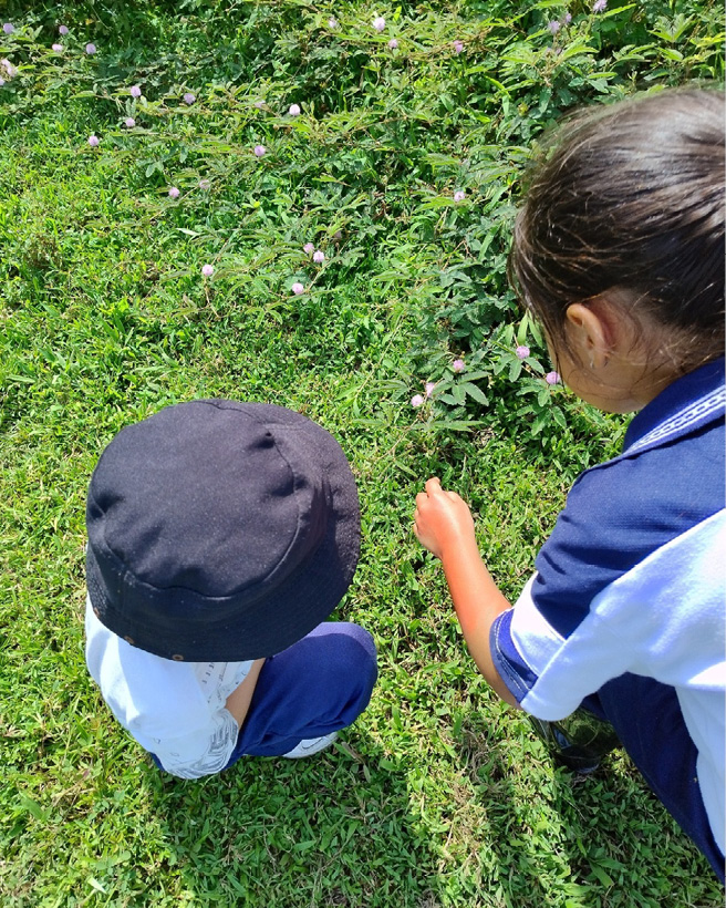 Niño sentado en el pasto

Descripción generada automáticamente con confianza baja
