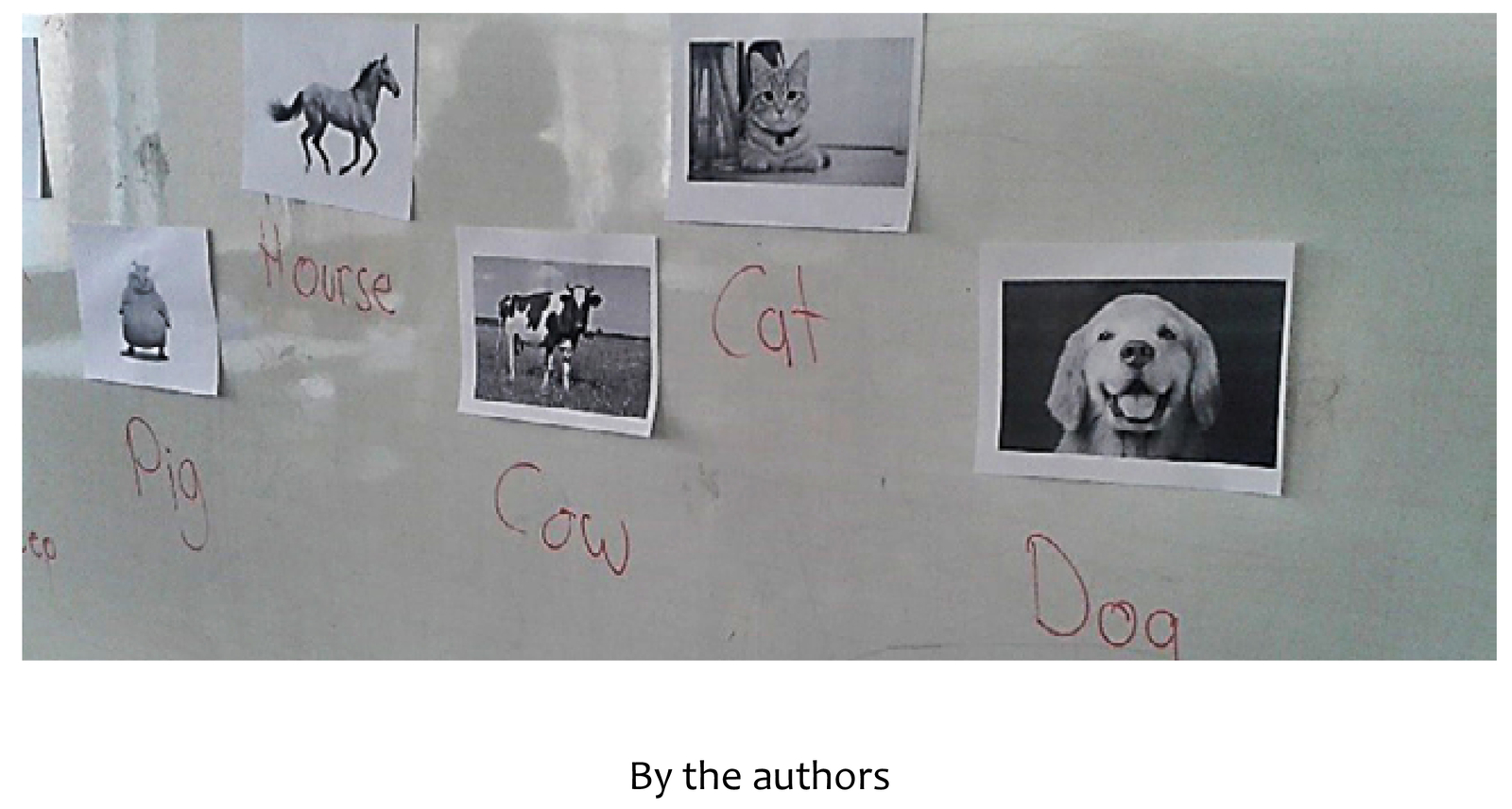 fig2.jpg